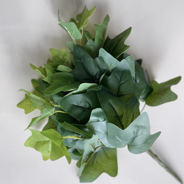 Плющ зеленый ампельный куст