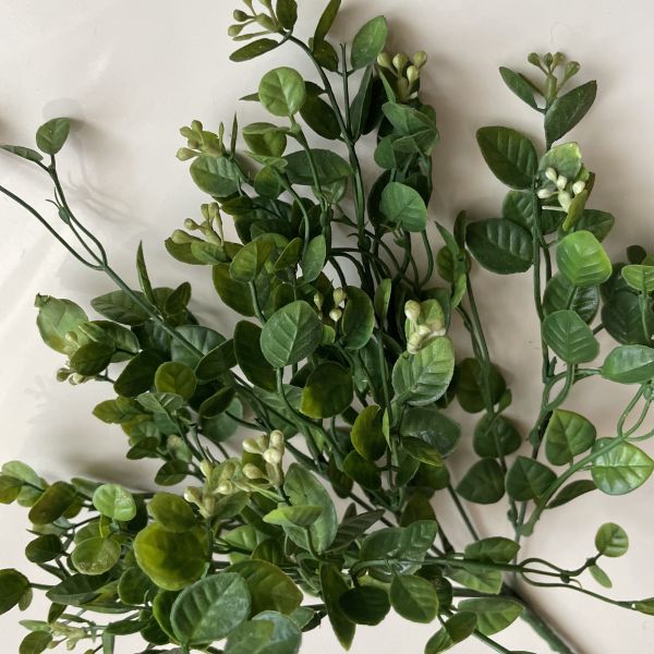 Ветка эвкалипта/35