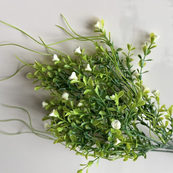 Ветка самшита с цветами