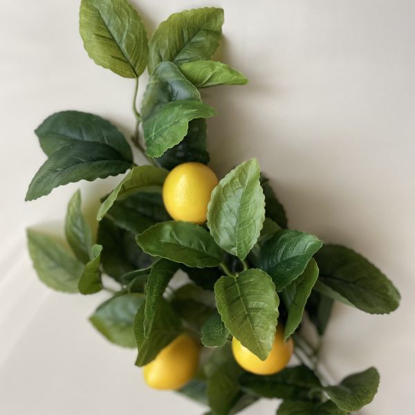 Декоративная ветка лимона