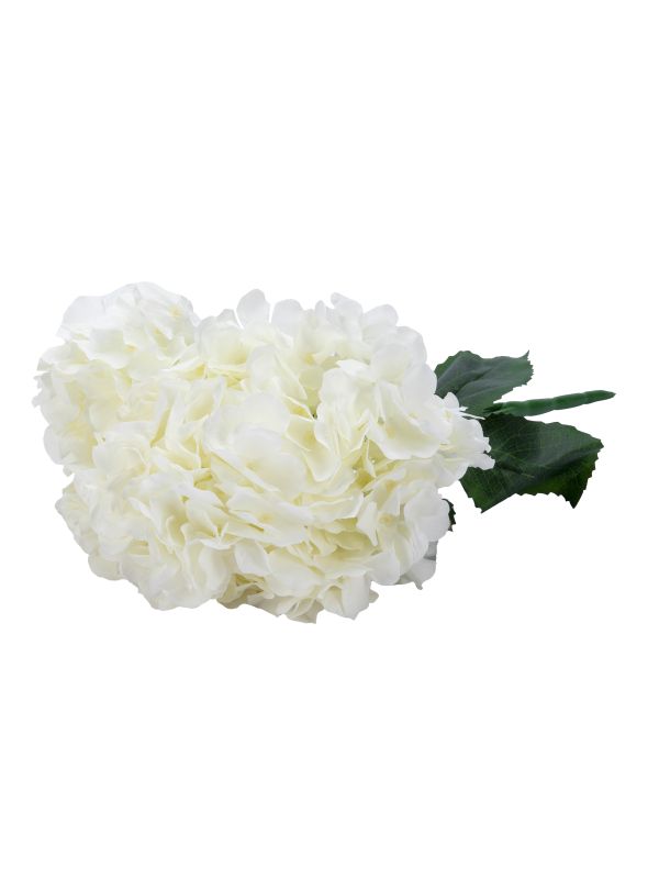 Декоративная гортензия кустовая