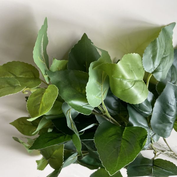 Ветви салал/7/40