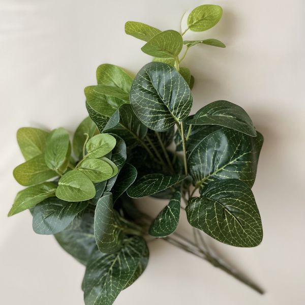 Декоративный эвкалипт