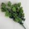 Ветка сосны зеленая 
